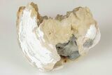 Partial Fossil Clam with Fluorescent Calcite Crystals - Ruck's Pit #191768-2